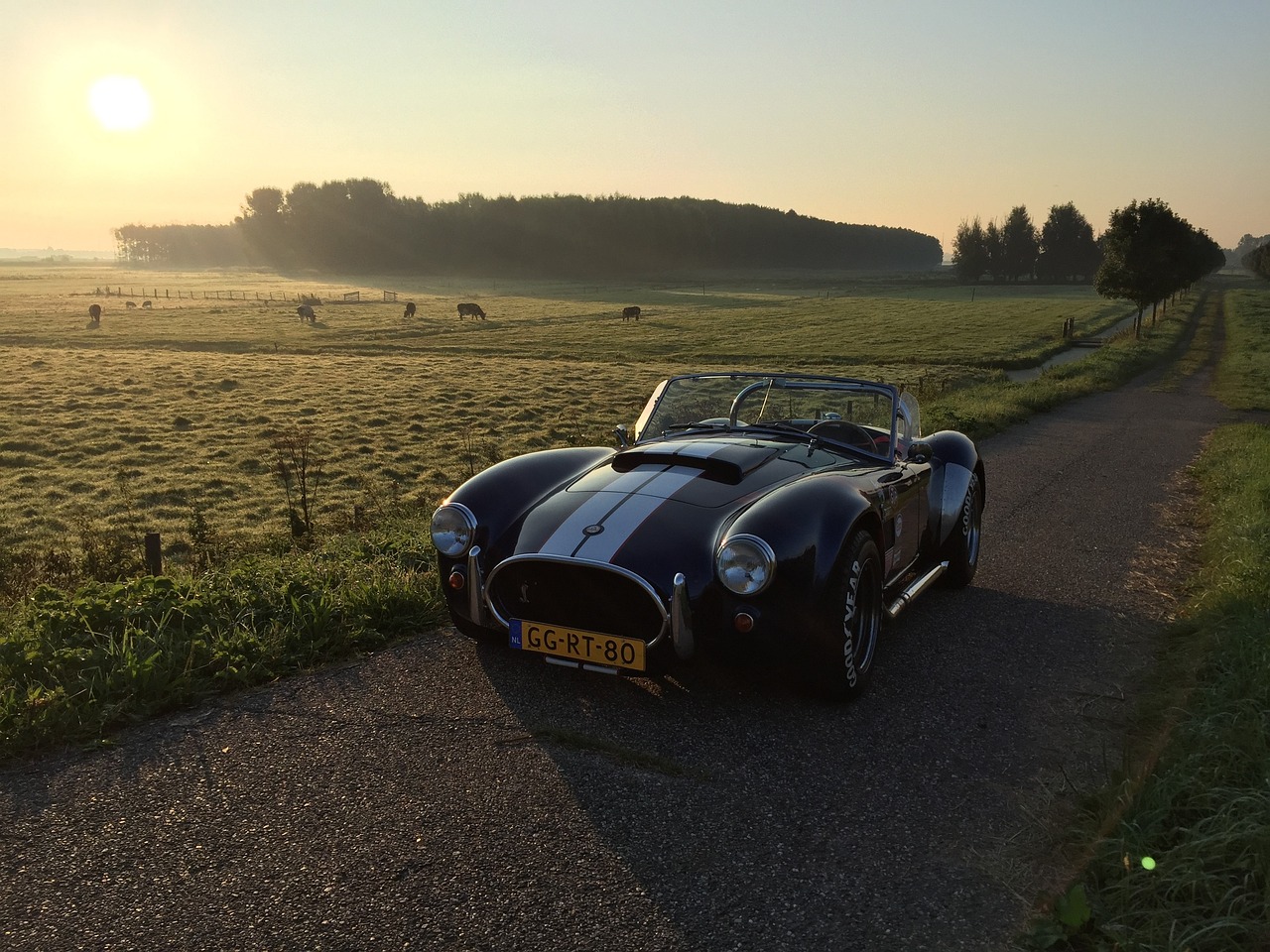 Allianz SE: Der unangefochtene Riese im stürmischen Versicherungsmarkt!